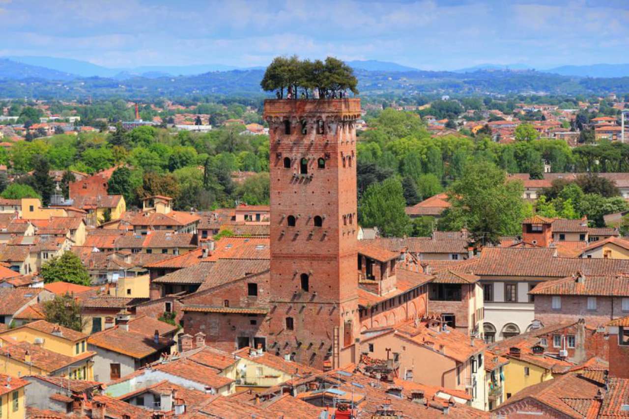 Stabile intero - Palazzo LUCCA vendita  ARSINA di Arsina Catelli Immobiliare