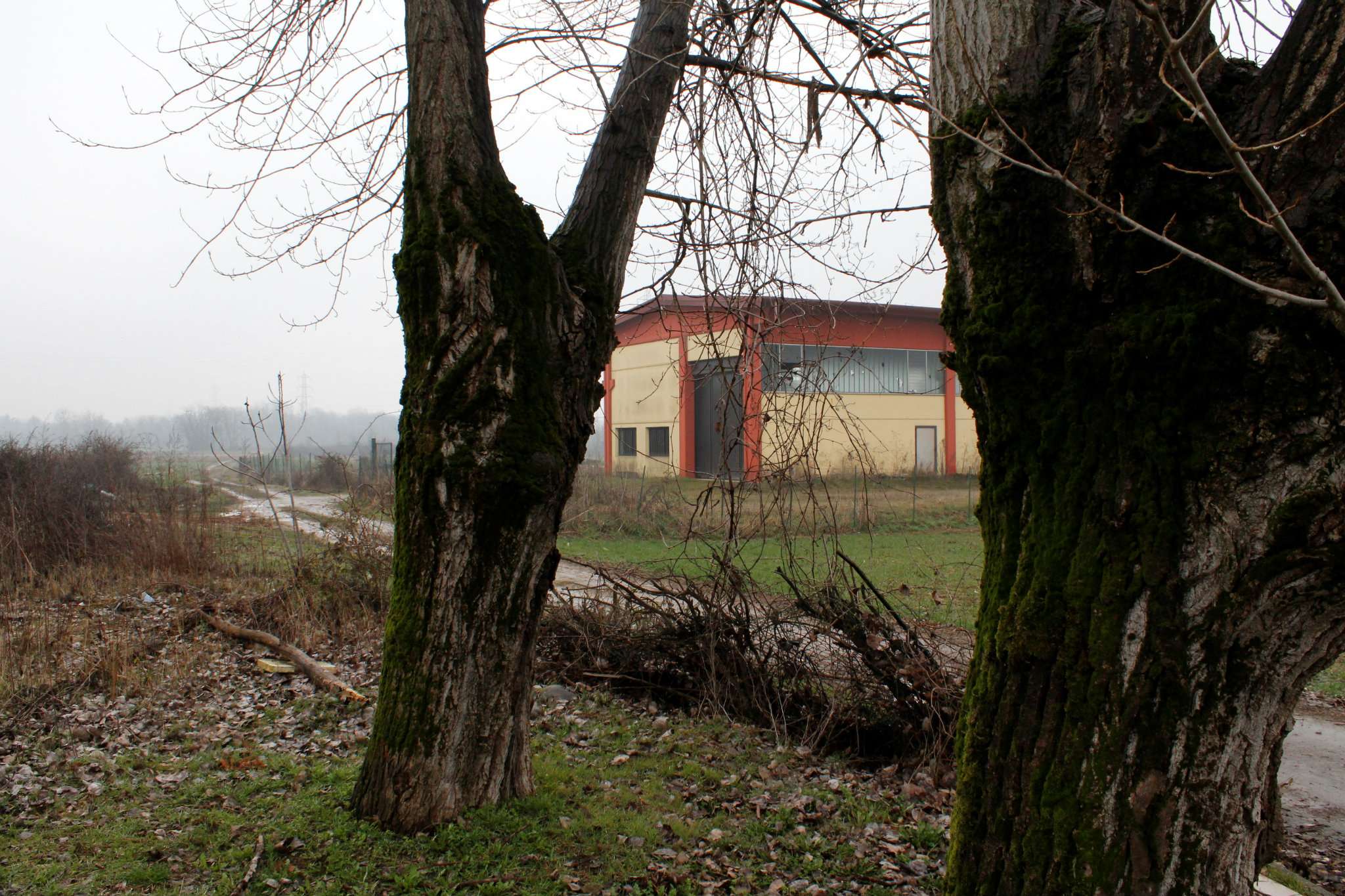 Appartamento CAVENAGO DI BRIANZA vendita   pasolini VENDOCASA