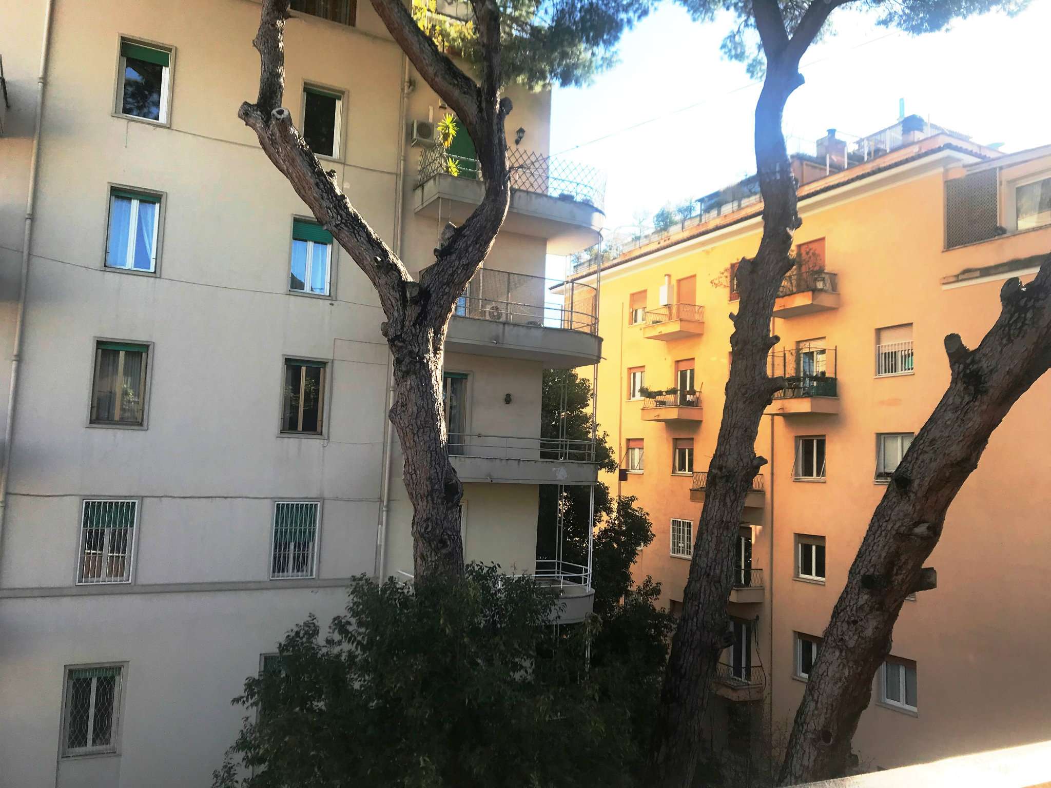 Appartamento ROMA affitto  PARIOLI  ruggero fauro Gruppo FISM Consulenti Immobiliari