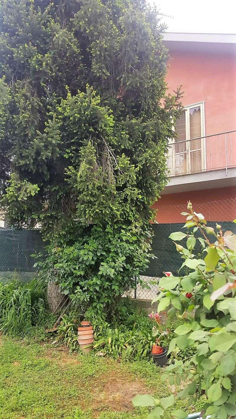 Villa Bifamiliare MONCALIERI vendita   Preserasca Eco Immobiliare