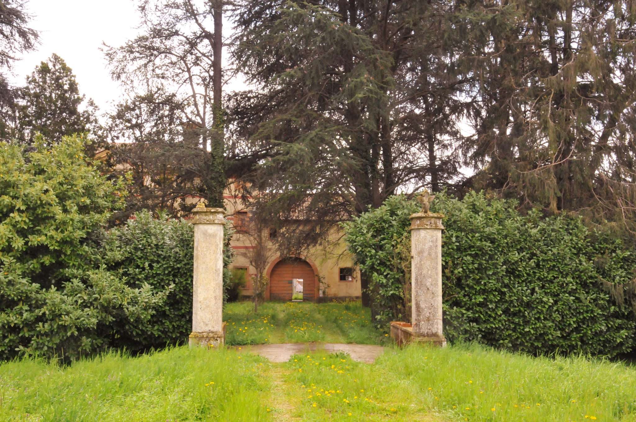  santa giustina in colle vendita quart:  tiberio immobiliare di mocanu tiberio