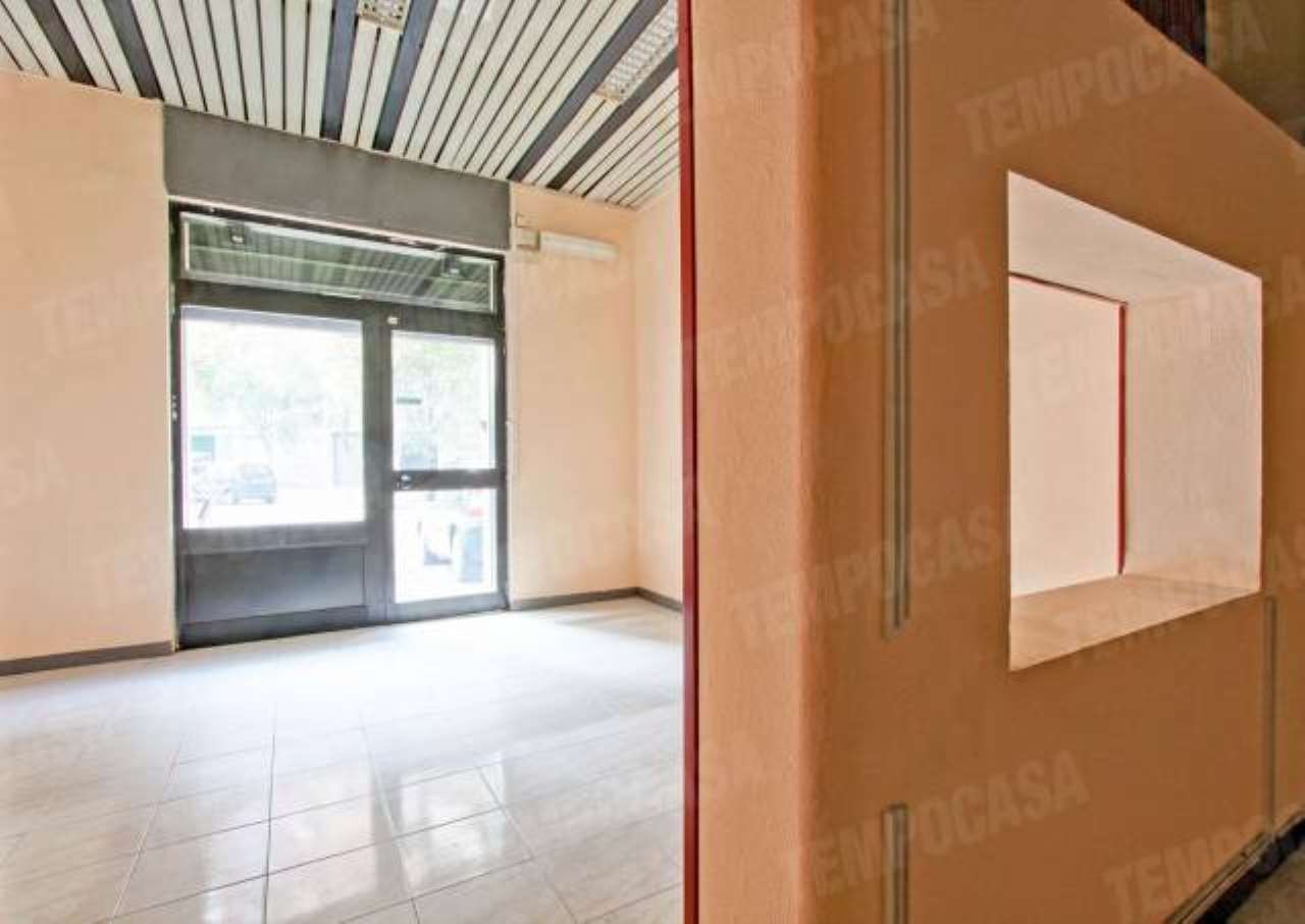  roma affitto quart: prenestino - centocelle  tempocasa-centocelle-mirti