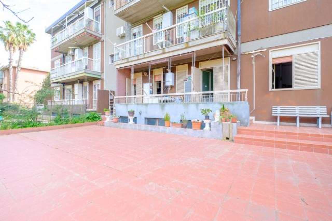 Appartamento CATANIA vendita  BARRIERA-CANALICCHIO concetto marchesi, 5 RE/MAX Platinum