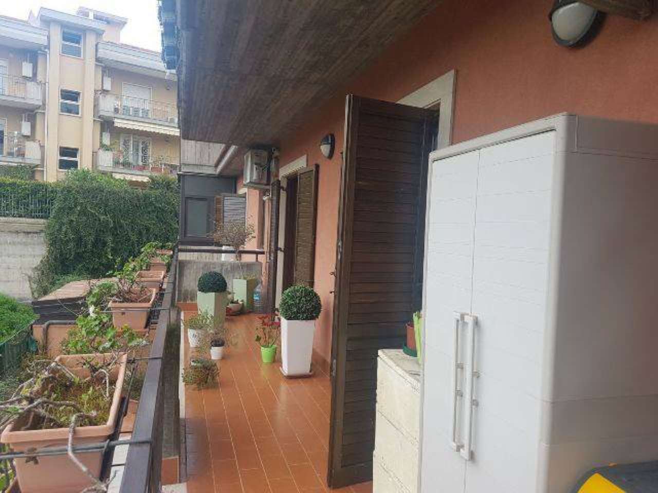 Appartamento SAN GREGORIO DI CATANIA vendita   C. Colombo, 20 RE/MAX Platinum