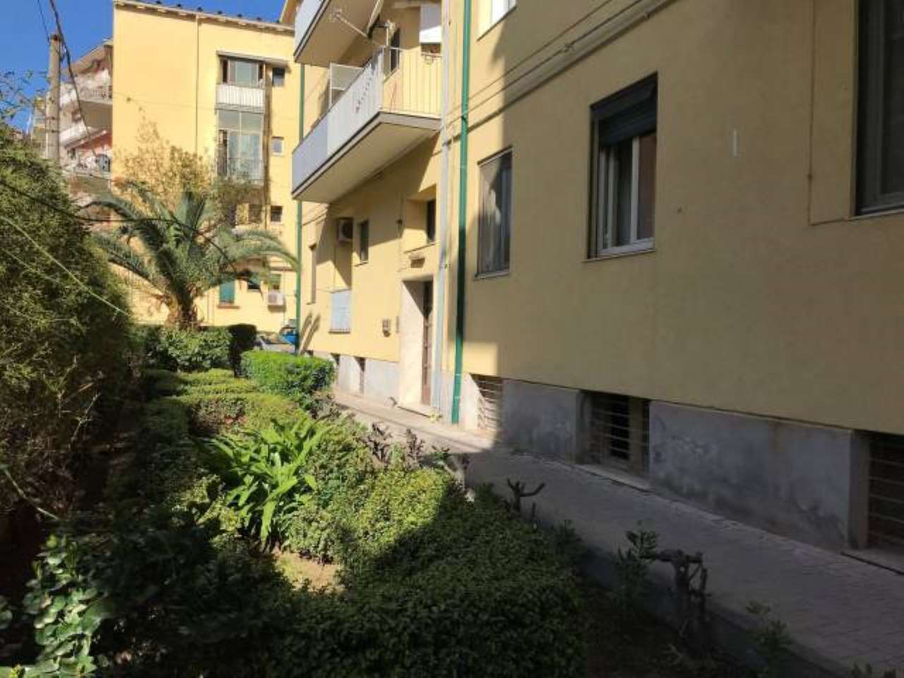 Appartamento CATANIA vendita  TRAPPETO-CIBALI Costanza D'Aragona, 16 RE/MAX Platinum