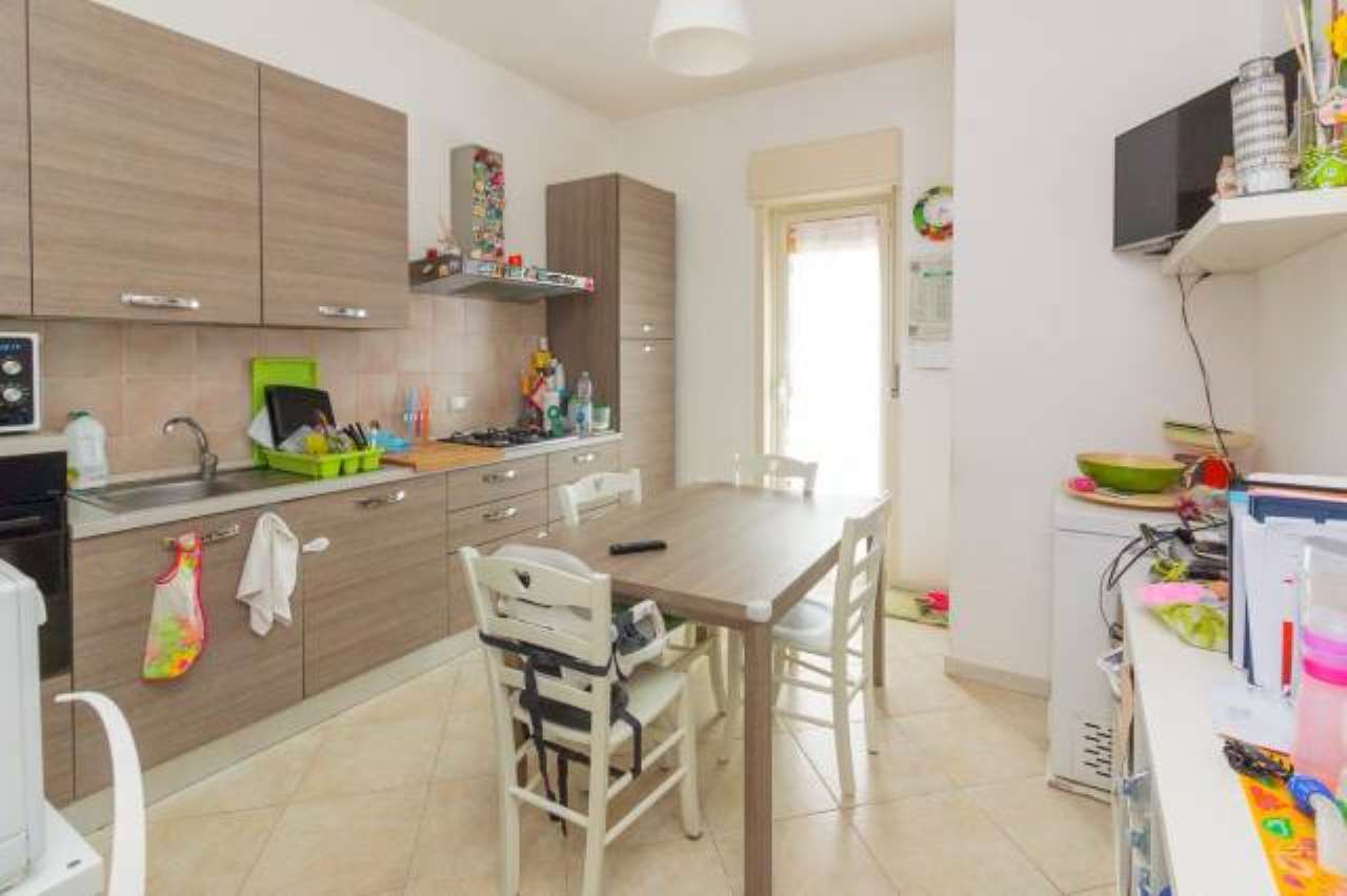 Appartamento MASCALUCIA vendita   CAMPO SPORTIVO, 2 RE/MAX Platinum