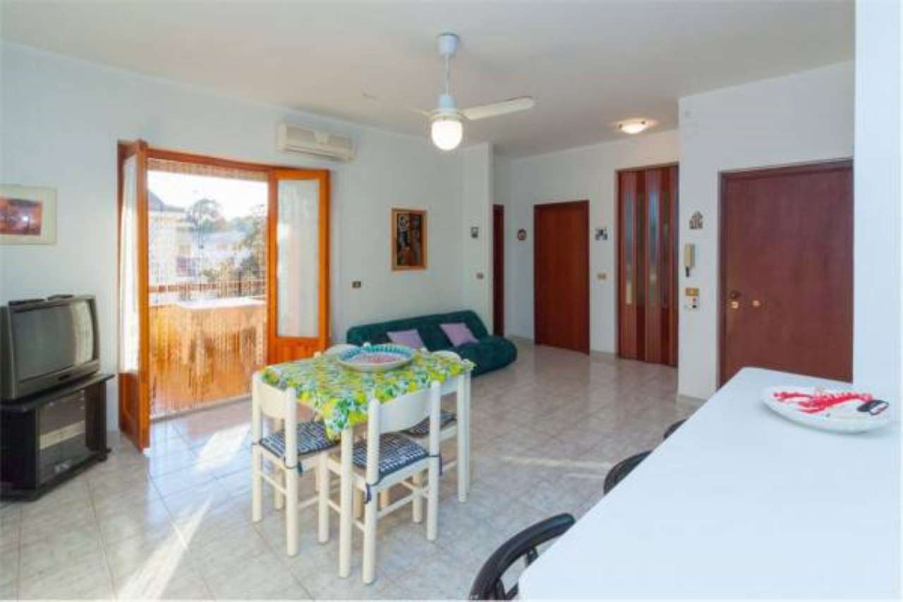 Appartamento MASCALI vendita   Spiaggia ,, 301 RE/MAX Platinum