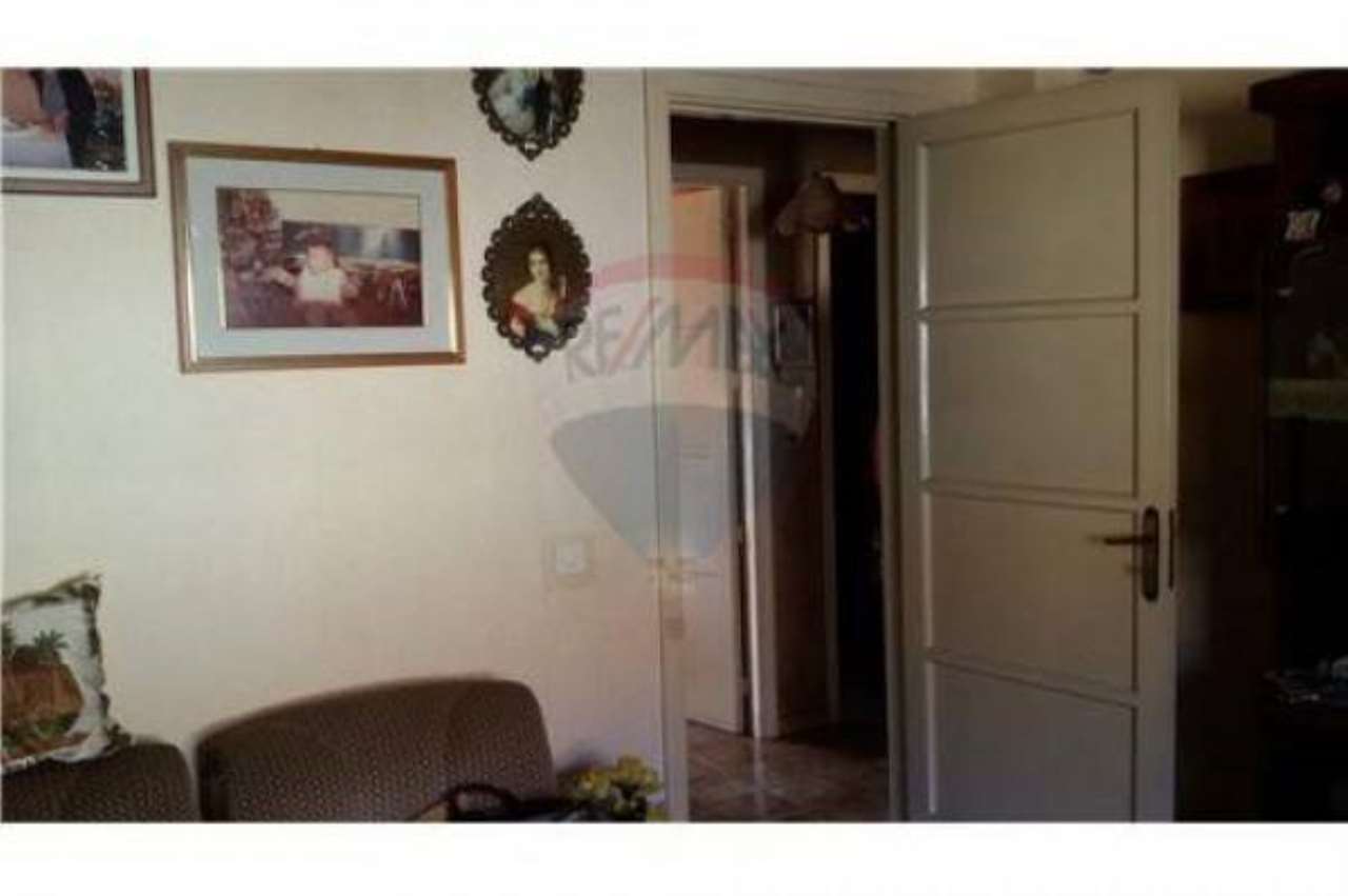 Appartamento CATANIA vendita  TRAPPETO-CIBALI Giuseppe Maltese,, 28 RE/MAX Platinum