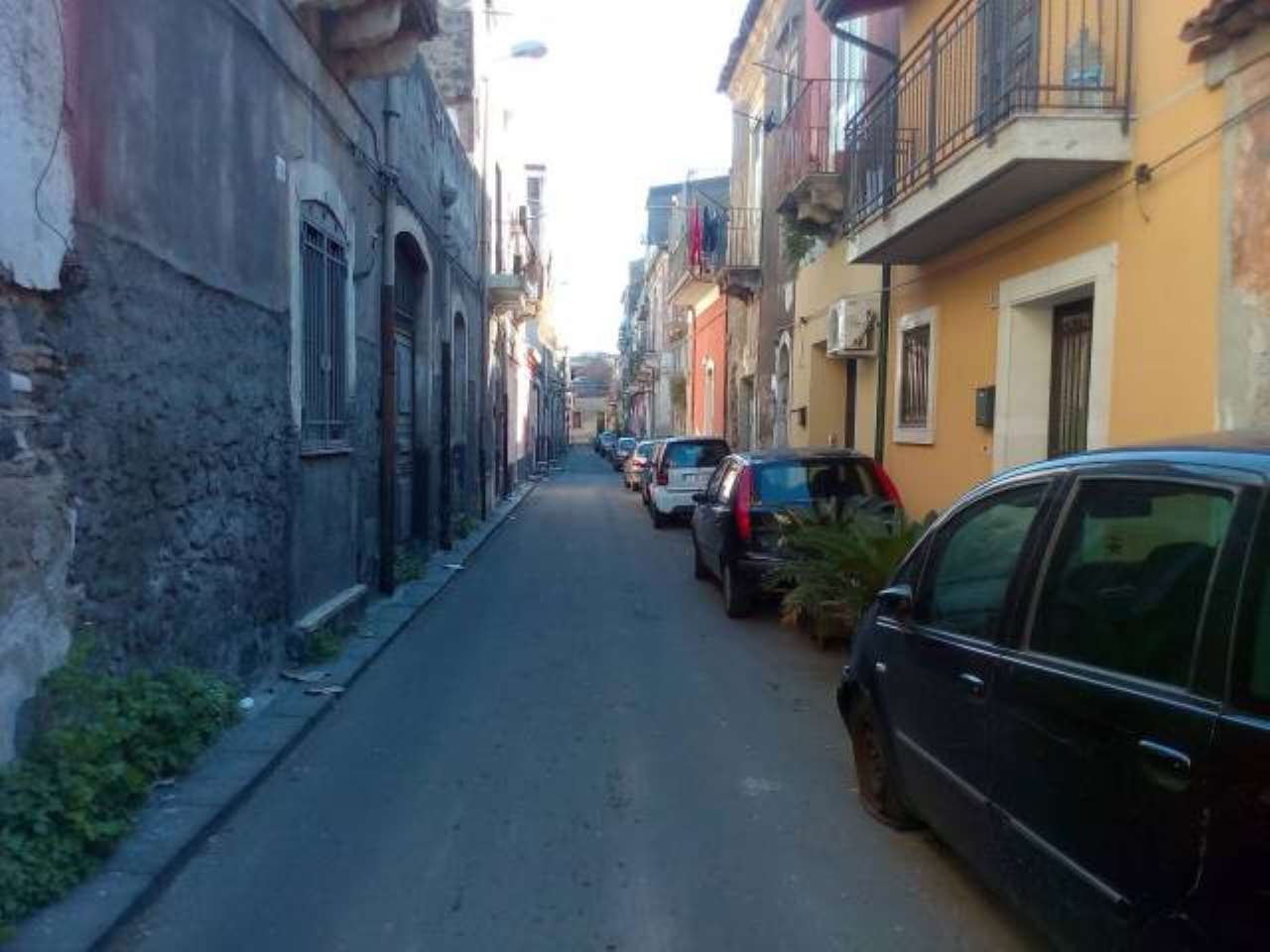 Appartamento CATANIA vendita  CENTRO STORICO Domenico Magrì, 55 RE/MAX Platinum