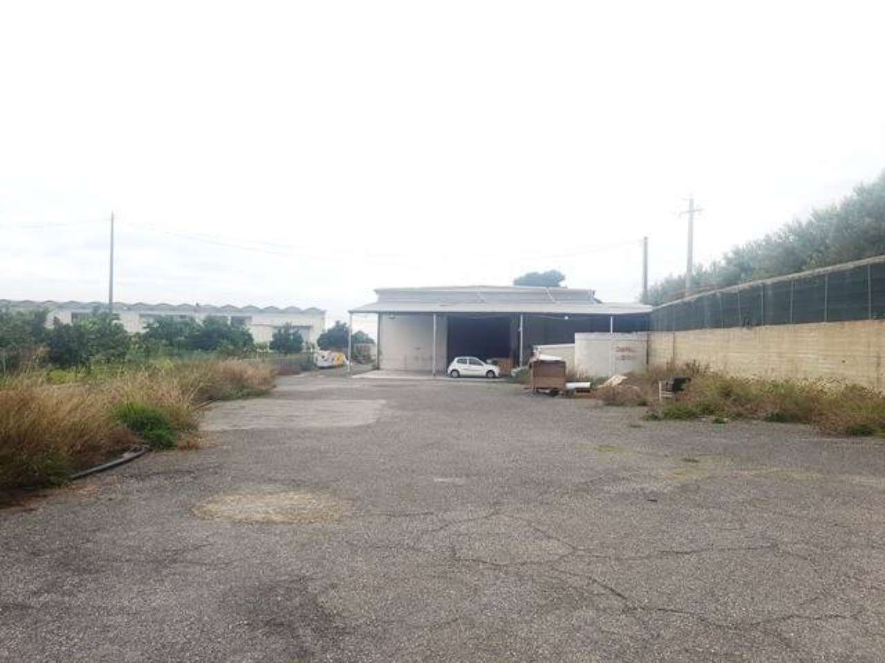 Capannoni (Tutti) CATANIA vendita  CENTRO STORICO stradale bummacaro, 3 RE/MAX Platinum