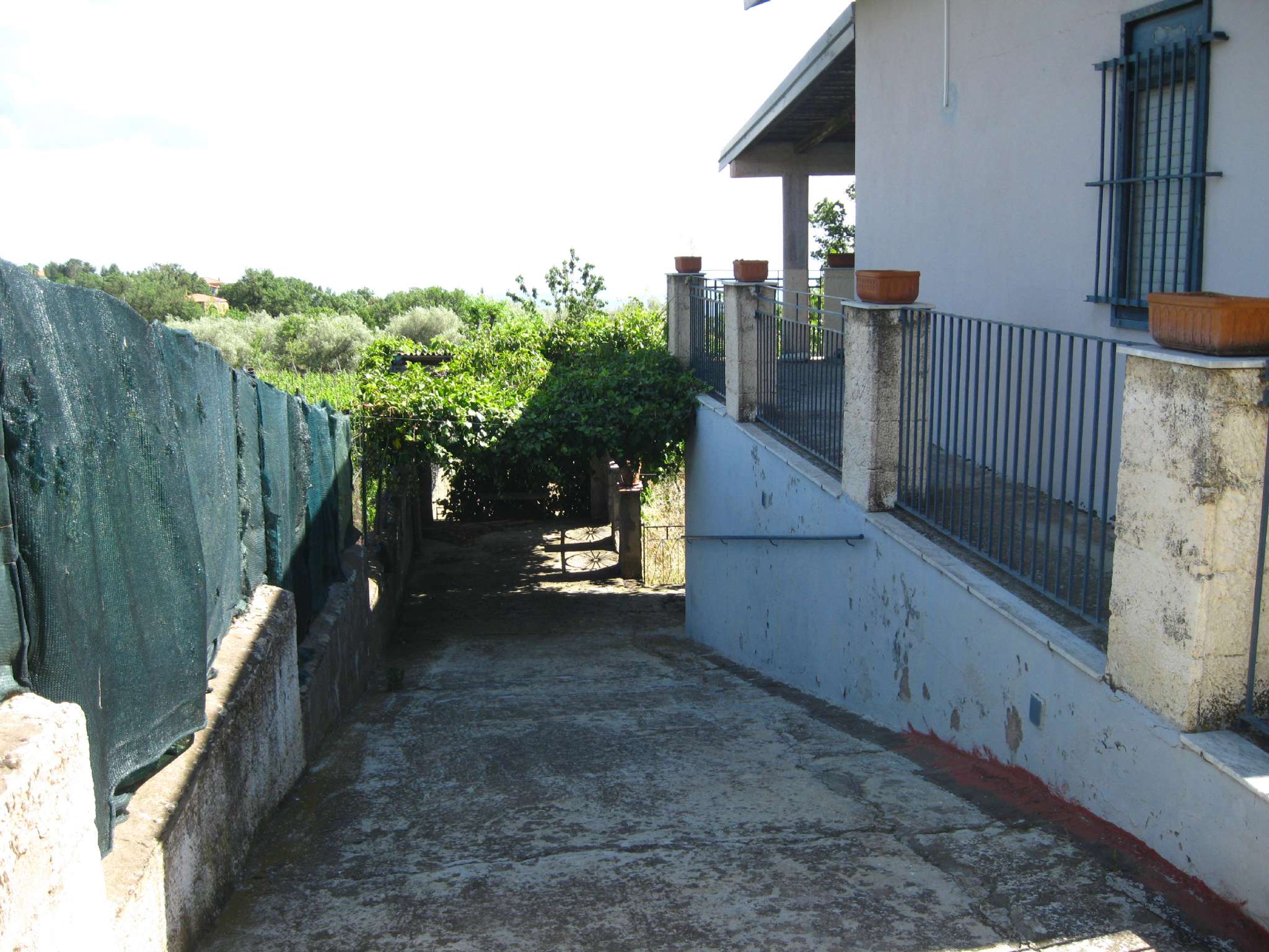 Villa Unifamiliare - Indipendente BIANCAVILLA vendita    RE/MAX Platinum