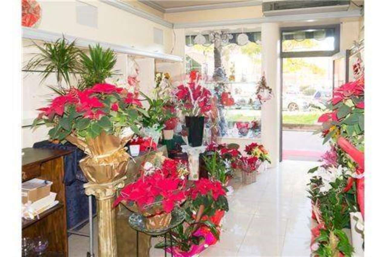 Negozio - Loc.Com. SIRACUSA vendita   Necropoli Grotticelle Remax Platinum 3