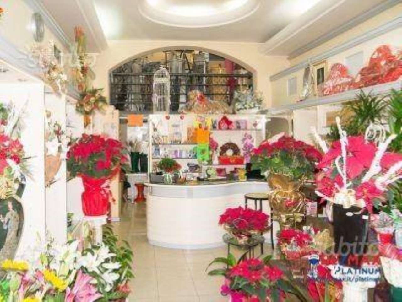 Negozio - Loc.Com. SIRACUSA vendita   Necropoli Grotticelle Remax Platinum 3