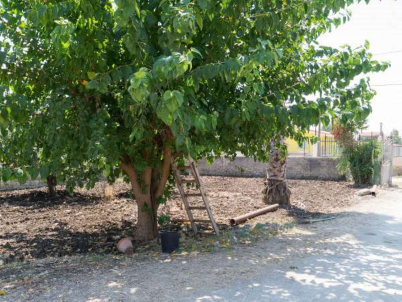 Villa SIRACUSA vendita   San Giorgio Martire,, 29 Remax Platinum 3