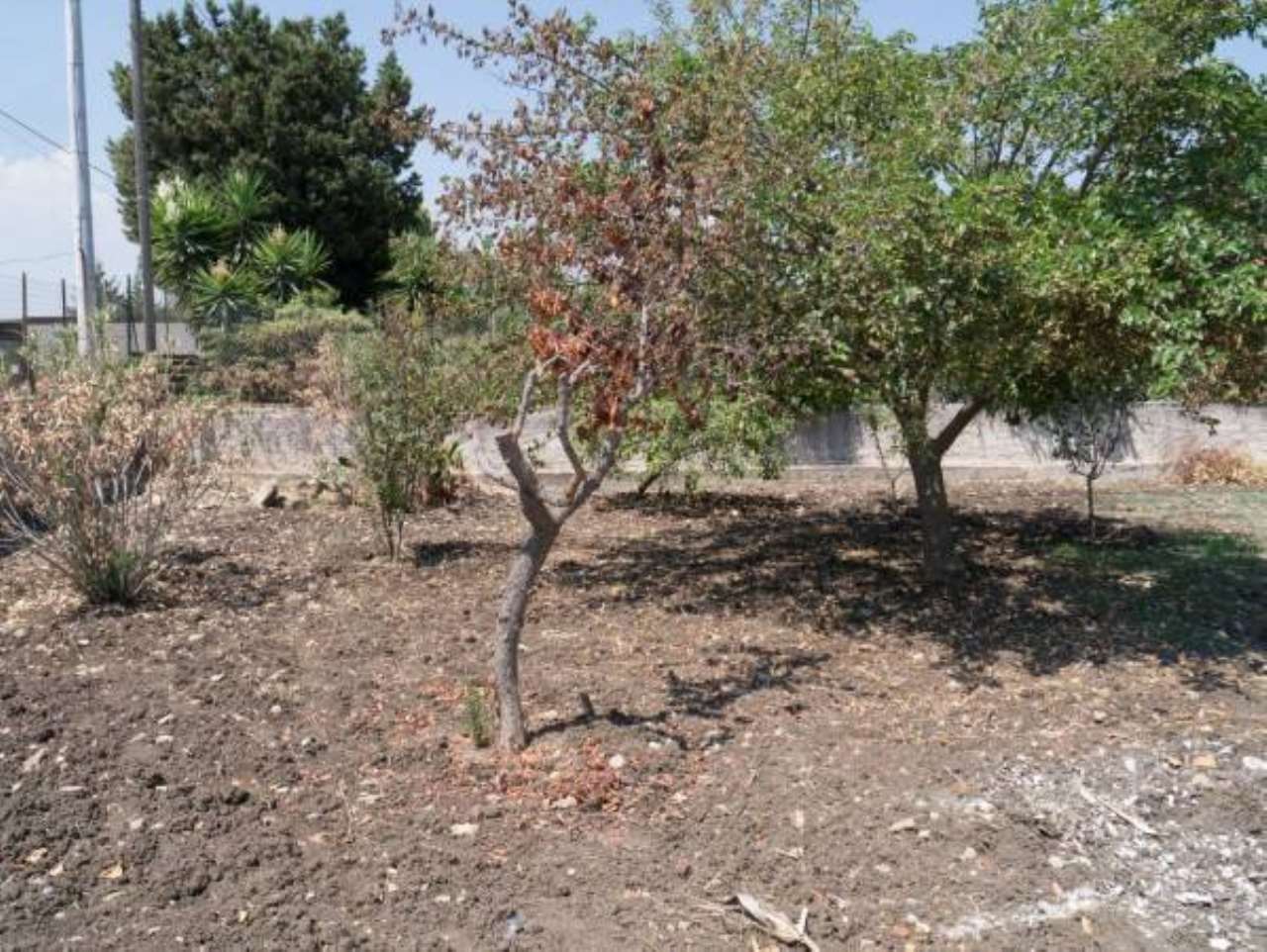 Villa SIRACUSA vendita   San Giorgio Martire,, 29 Remax Platinum 3