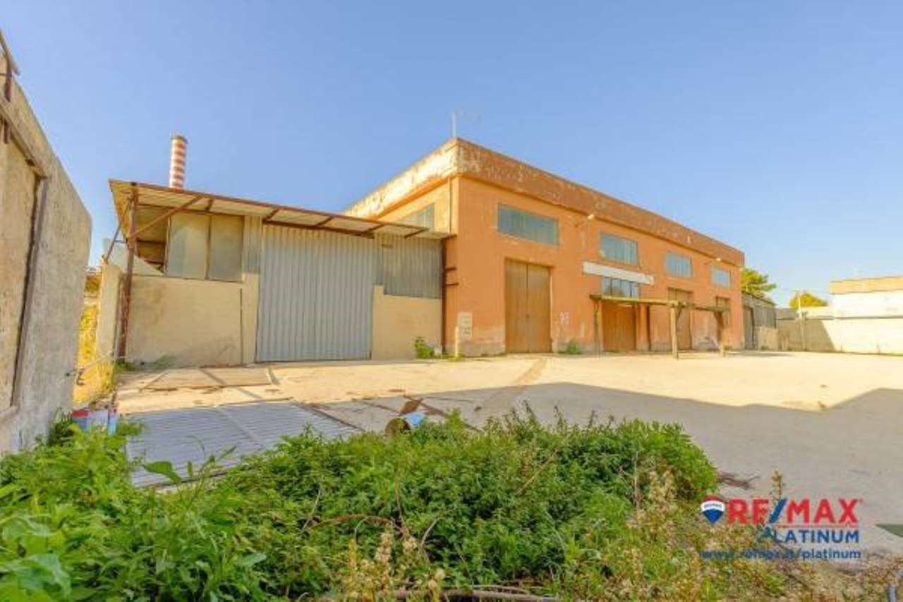 Capannoni (Tutti) SIRACUSA vendita   ex s.s 114,, 135 Remax Platinum 3