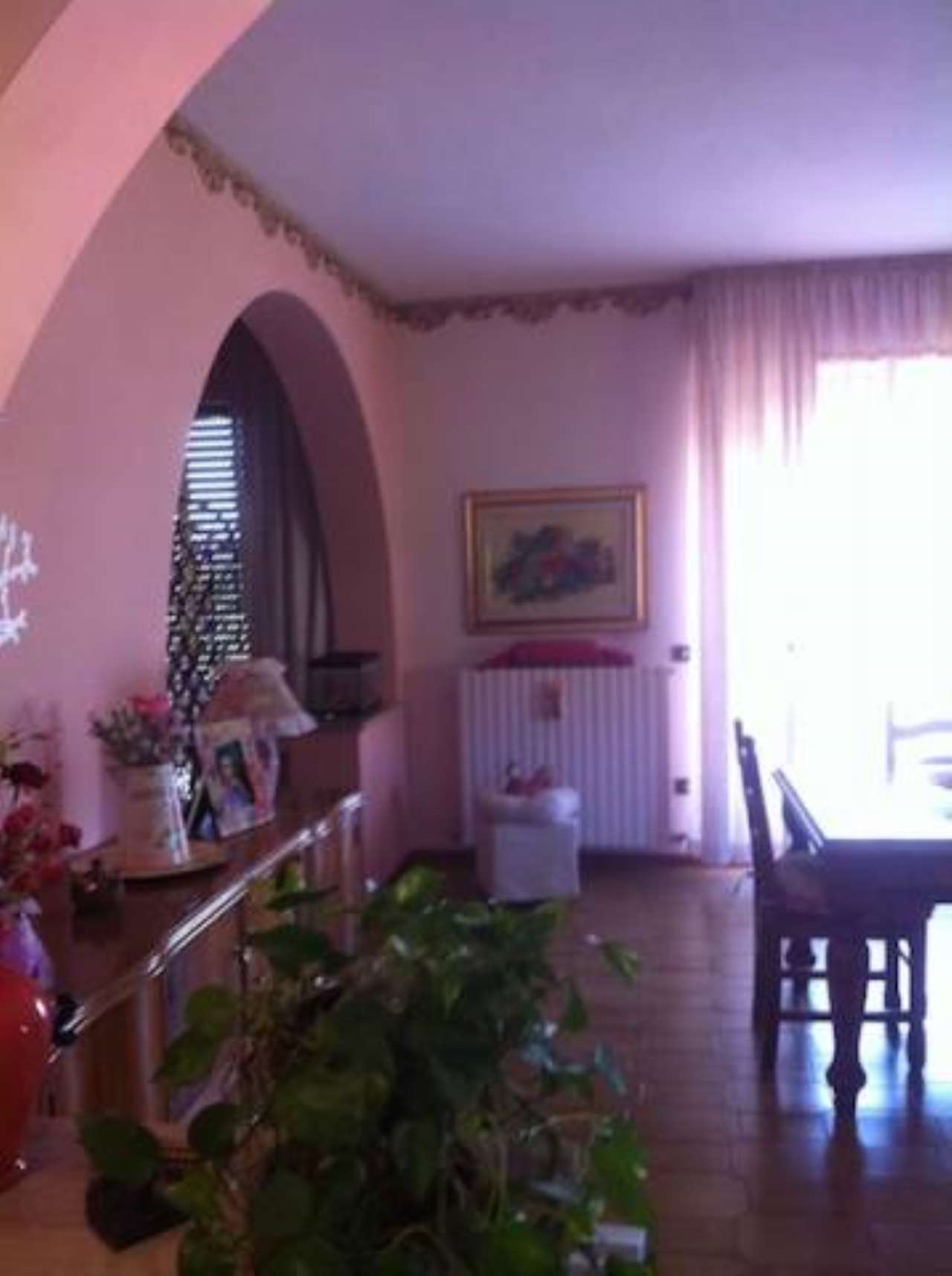 Appartamento CANNARA vendita    Immobiliare Aquileia