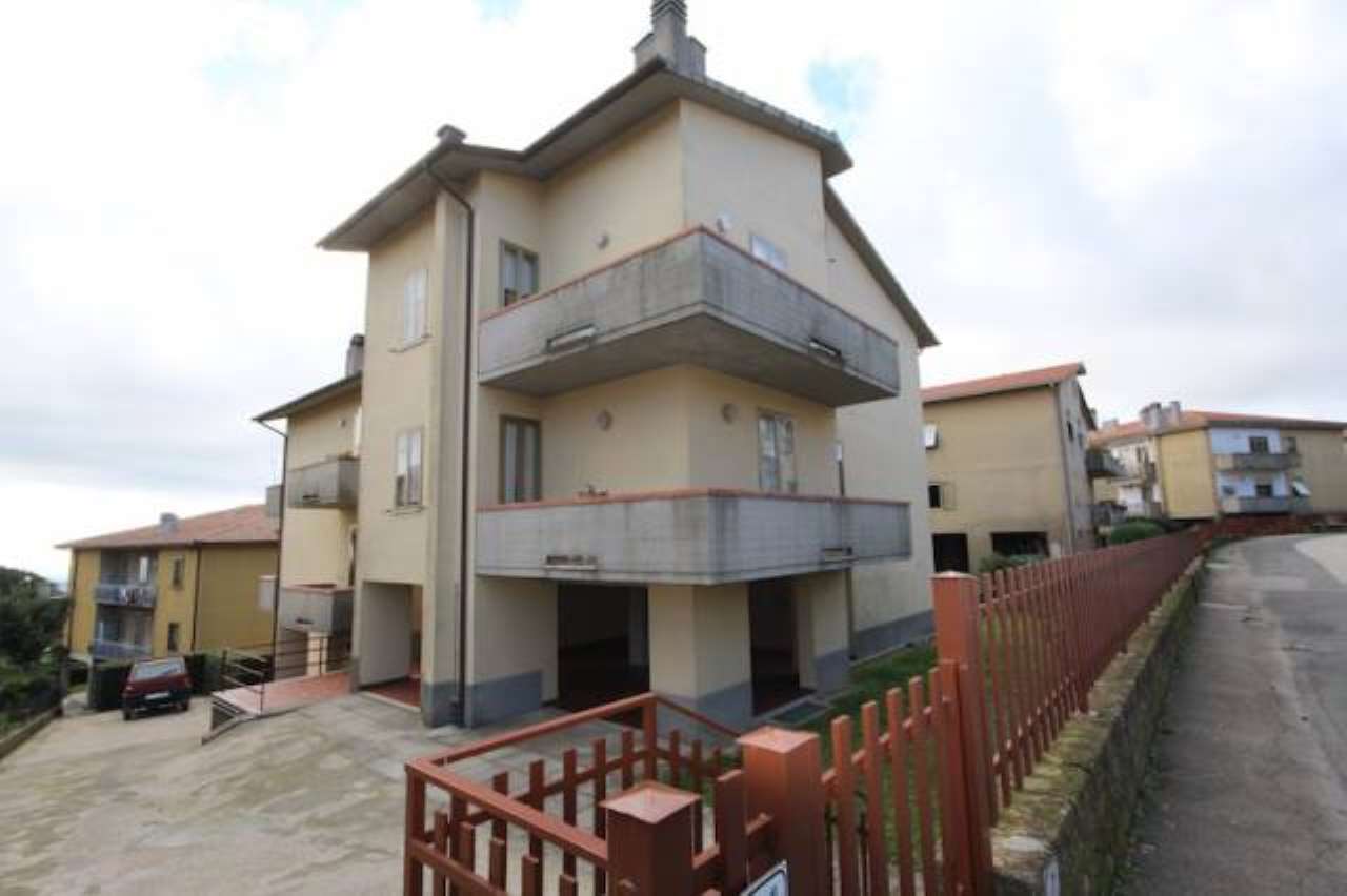  scansano vendita quart:  immobiliare-aquileia