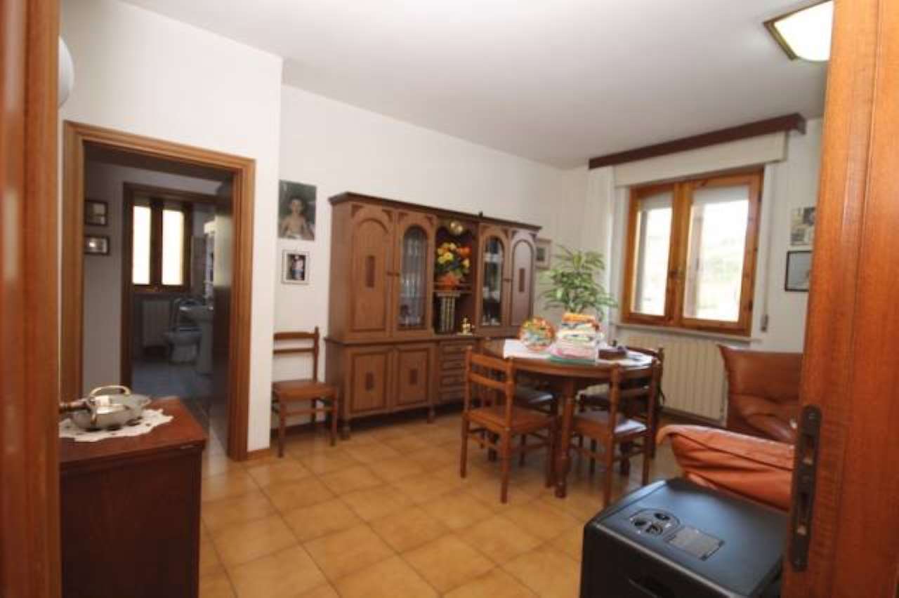 Appartamento SCANSANO vendita    Immobiliare Aquileia