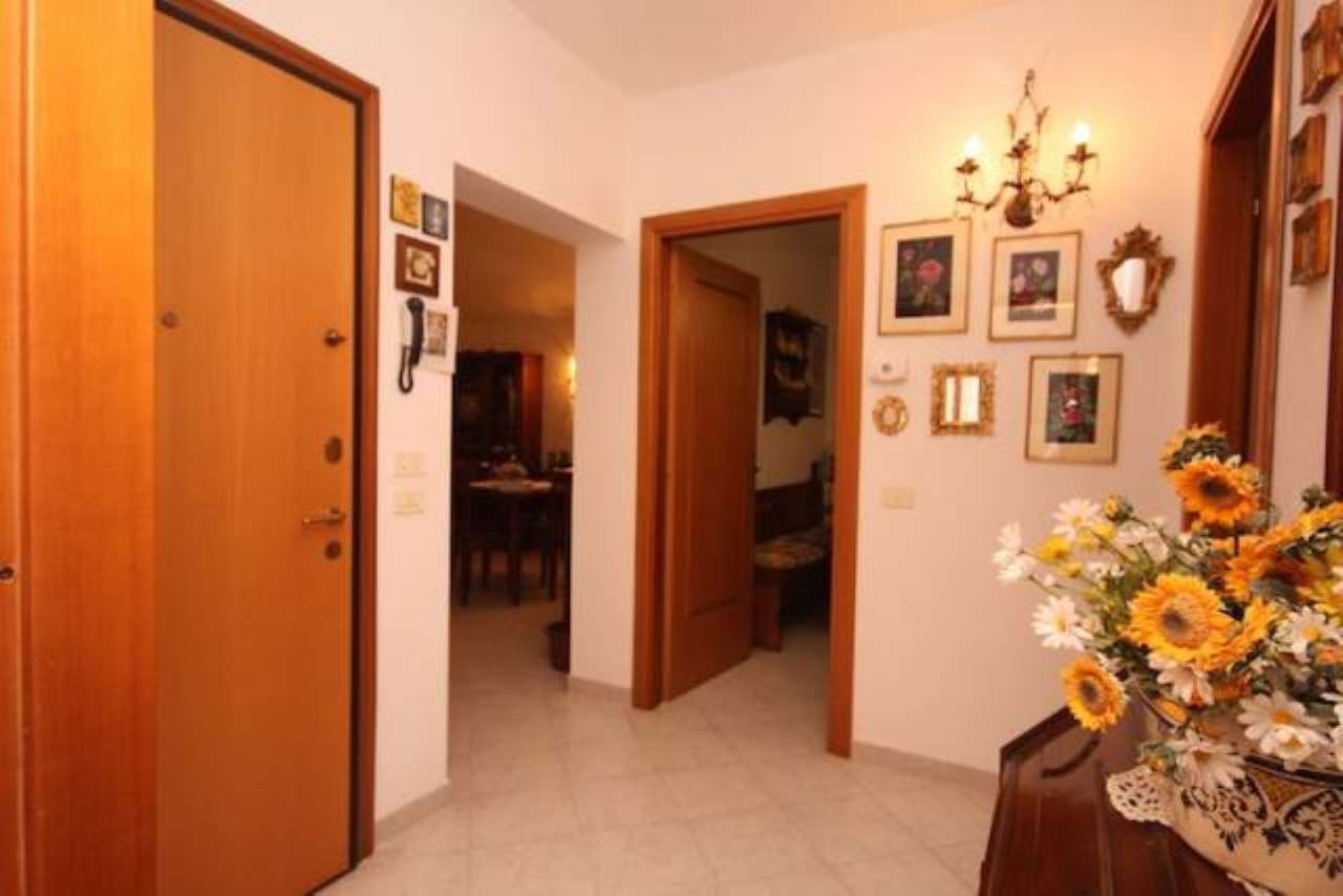 Appartamento GROSSETO vendita    Immobiliare Aquileia