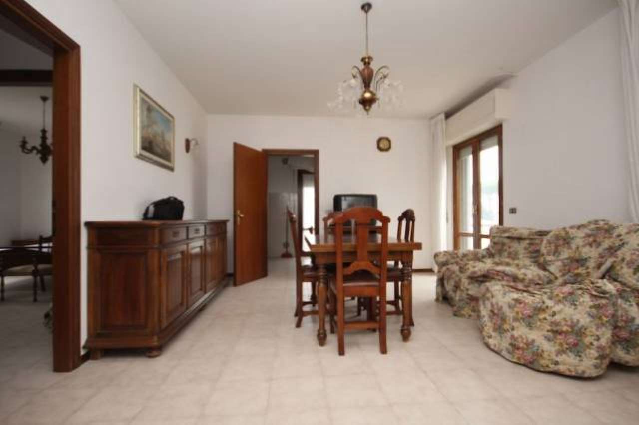 Appartamento ROCCASTRADA vendita    Immobiliare Aquileia