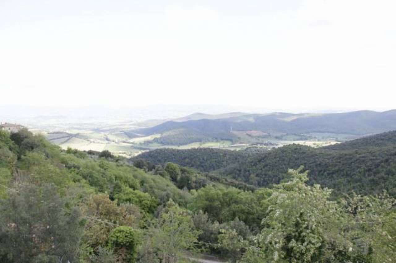  campagnatico vendita quart:  immobiliare aquileia