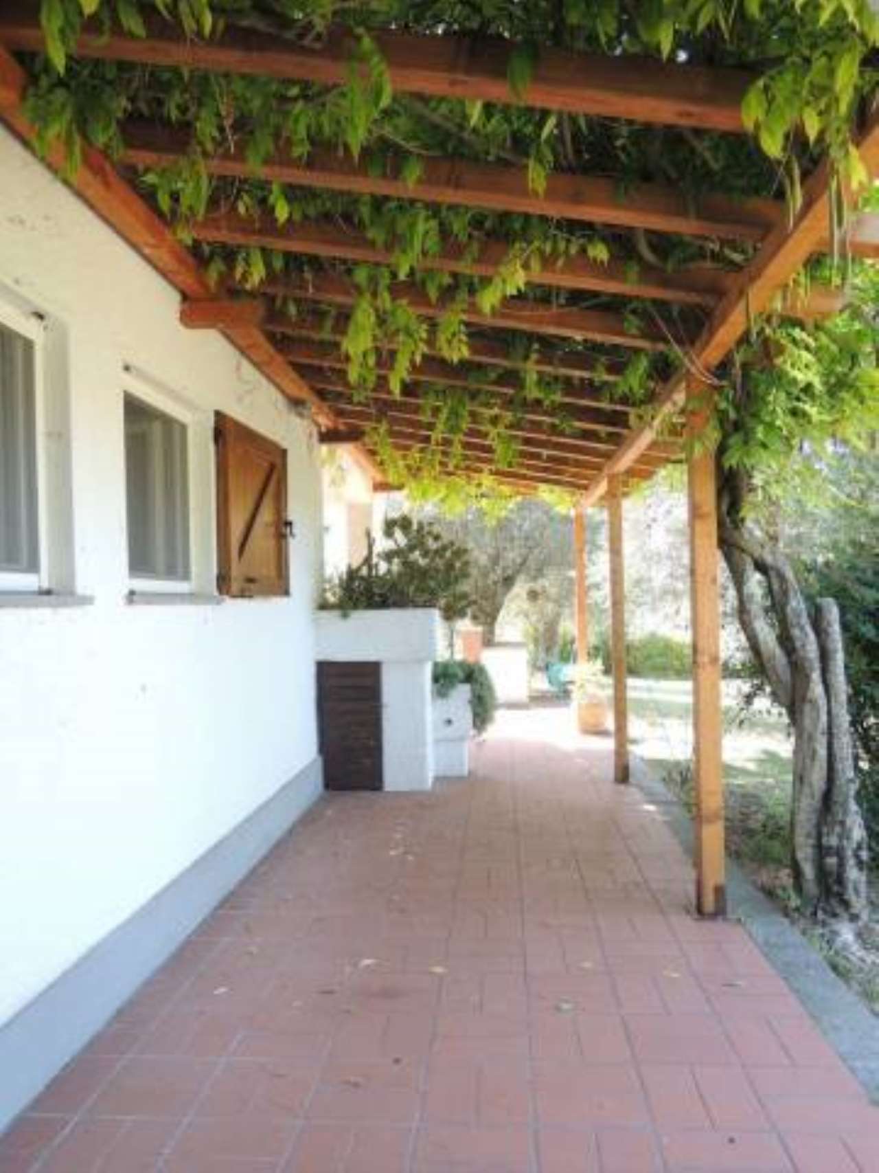 Villa MANCIANO vendita   SP10 Immobiliare Aquileia