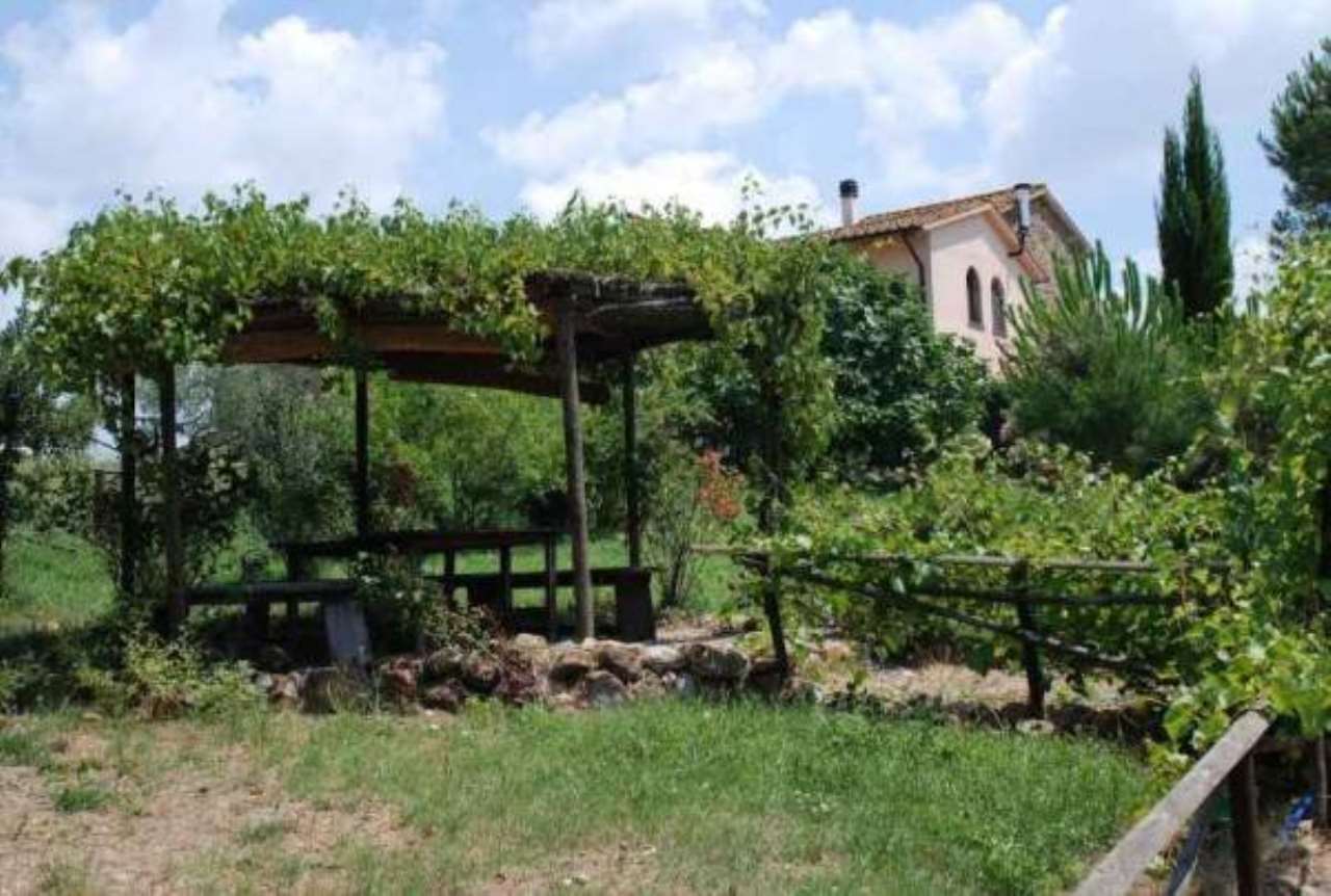 Rustico - Cascina ROCCASTRADA vendita    Immobiliare Aquileia