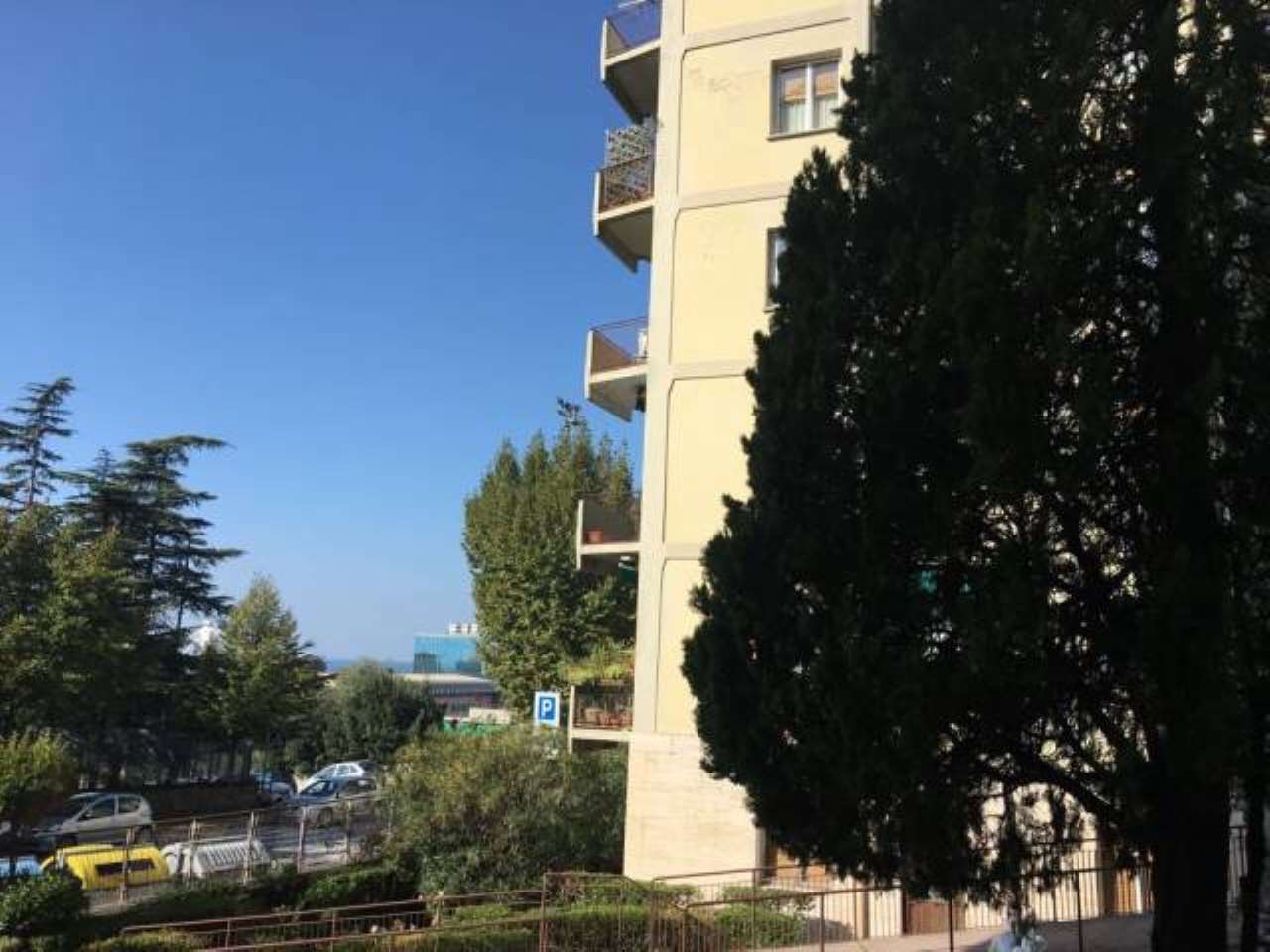 Appartamento TRIESTE vendita    Arco immobiliare