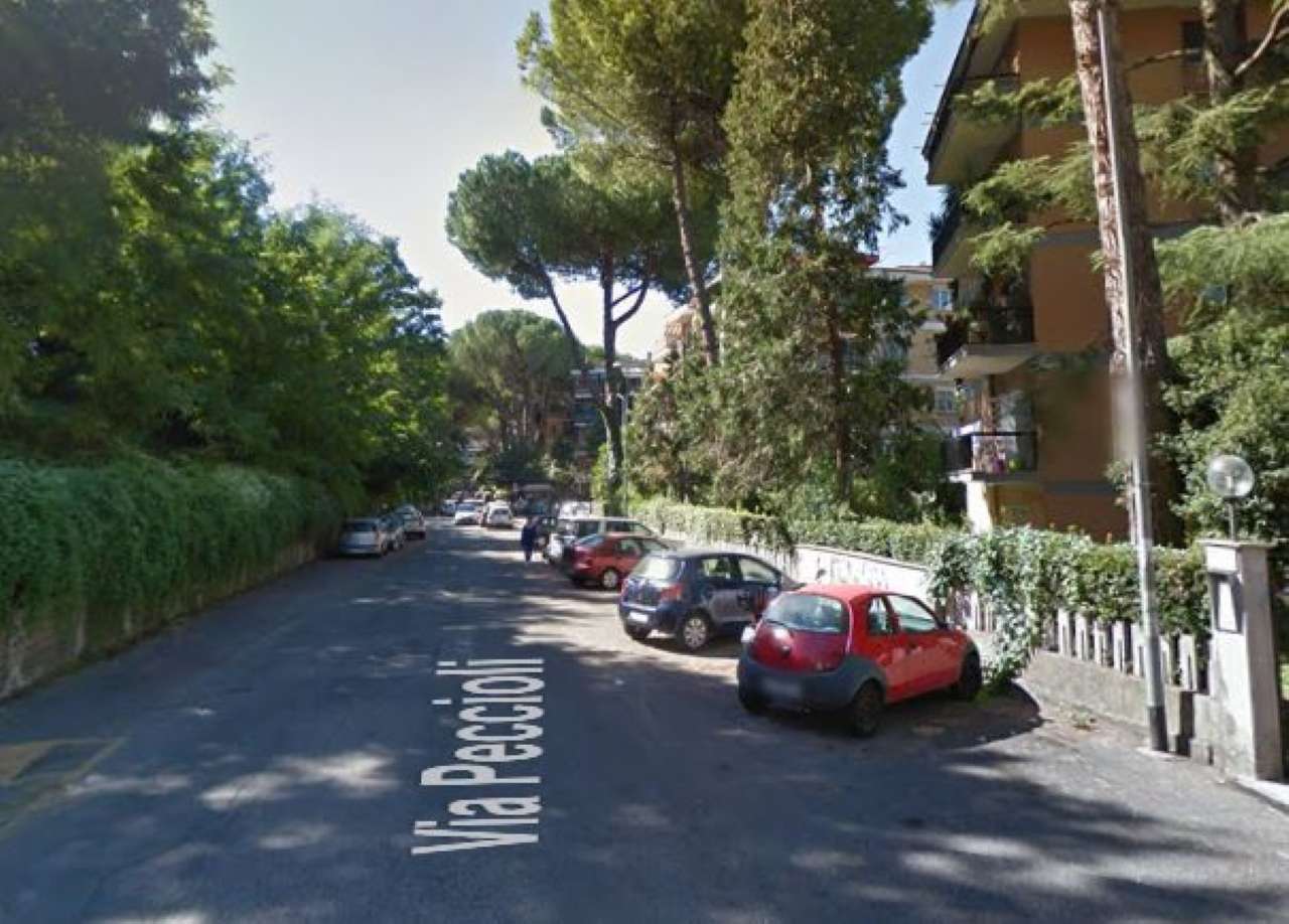 Box auto - Posto auto ROMA vendita  NUOVO SALARIO  Luxuryre bcs