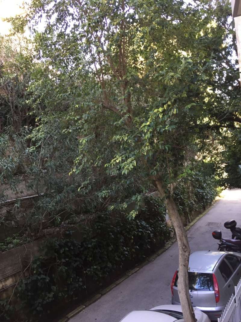 Appartamento NAPOLI vendita  ARENELLA Pietro Castellino 2P Immobiliare