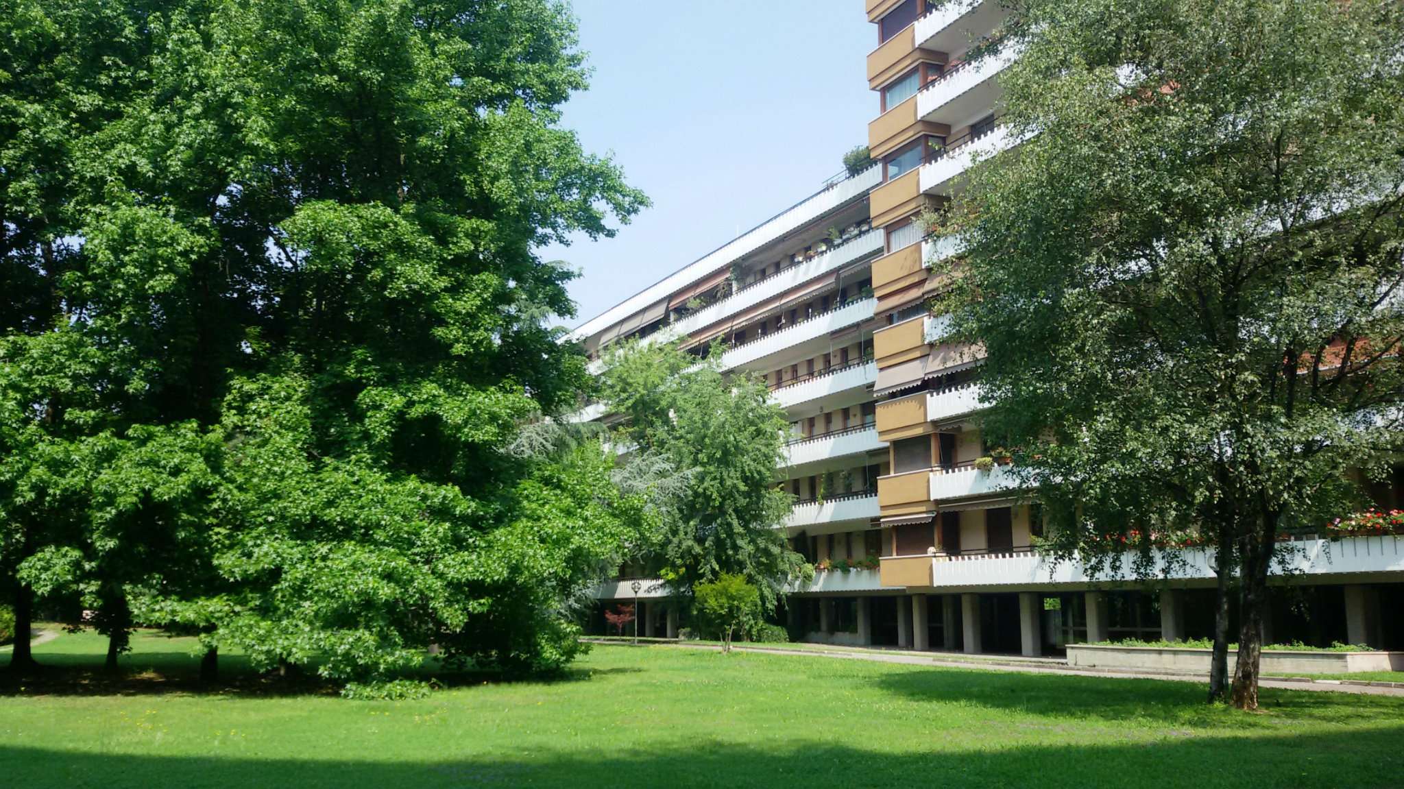 Appartamento MILANO vendita  LOTTO Dei Rospigliosi Immobiliare Boccaccio srl