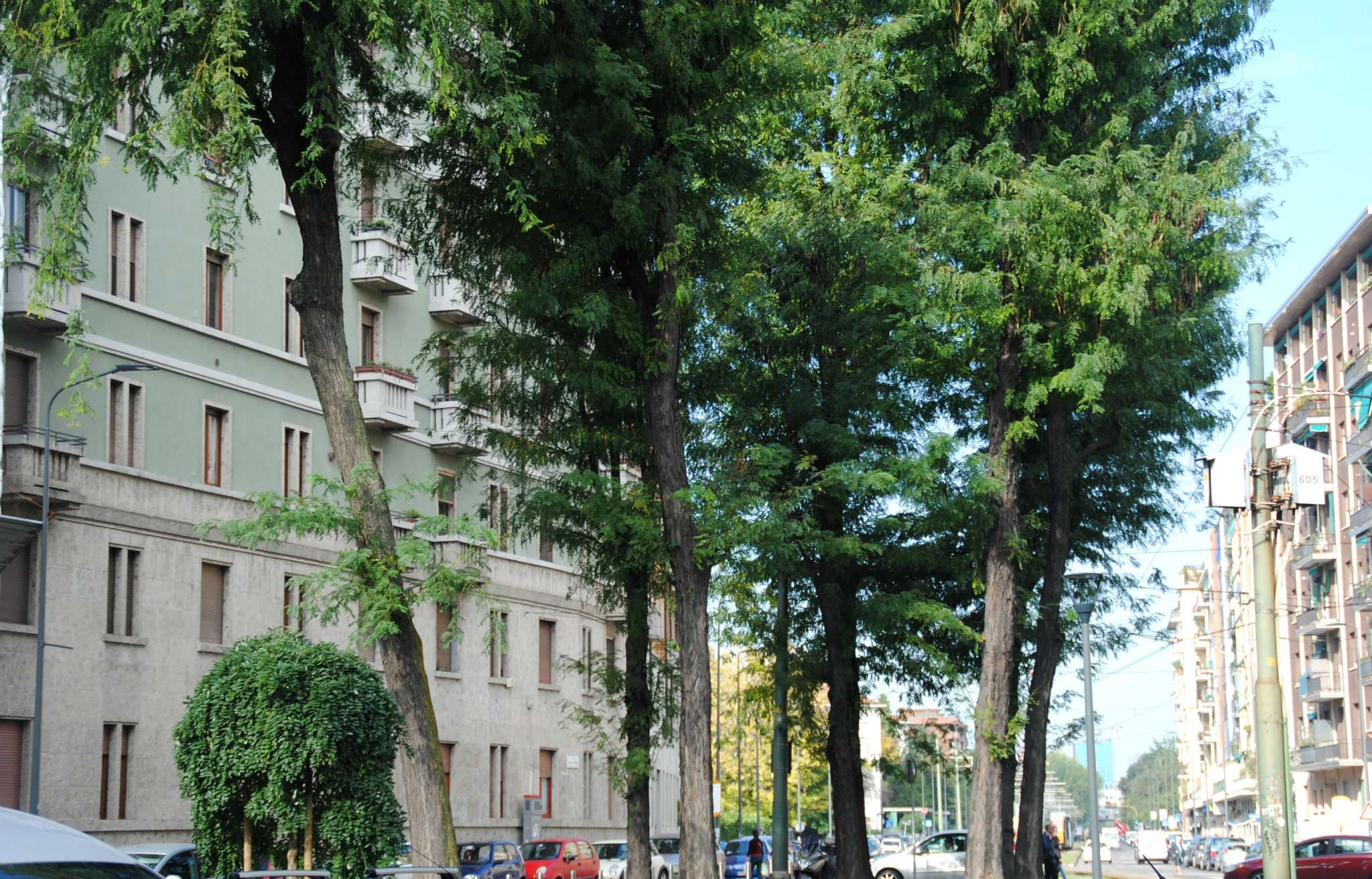Negozio - Loc.Com. MILANO vendita  CERTOSA pompeo castelli La Casa -MILANO WASHINGTON-Immobiliare Washington di Massimiliano Lettieri