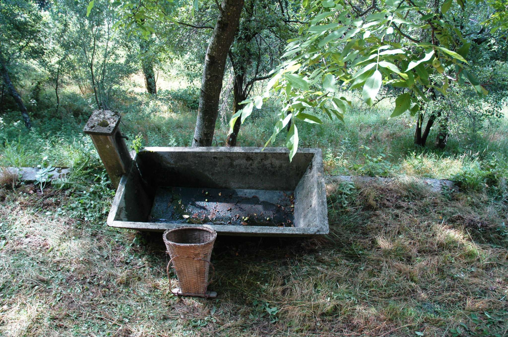 Rustico - Cascina VIÙ vendita   Frazione stretti Immobiliare Granero