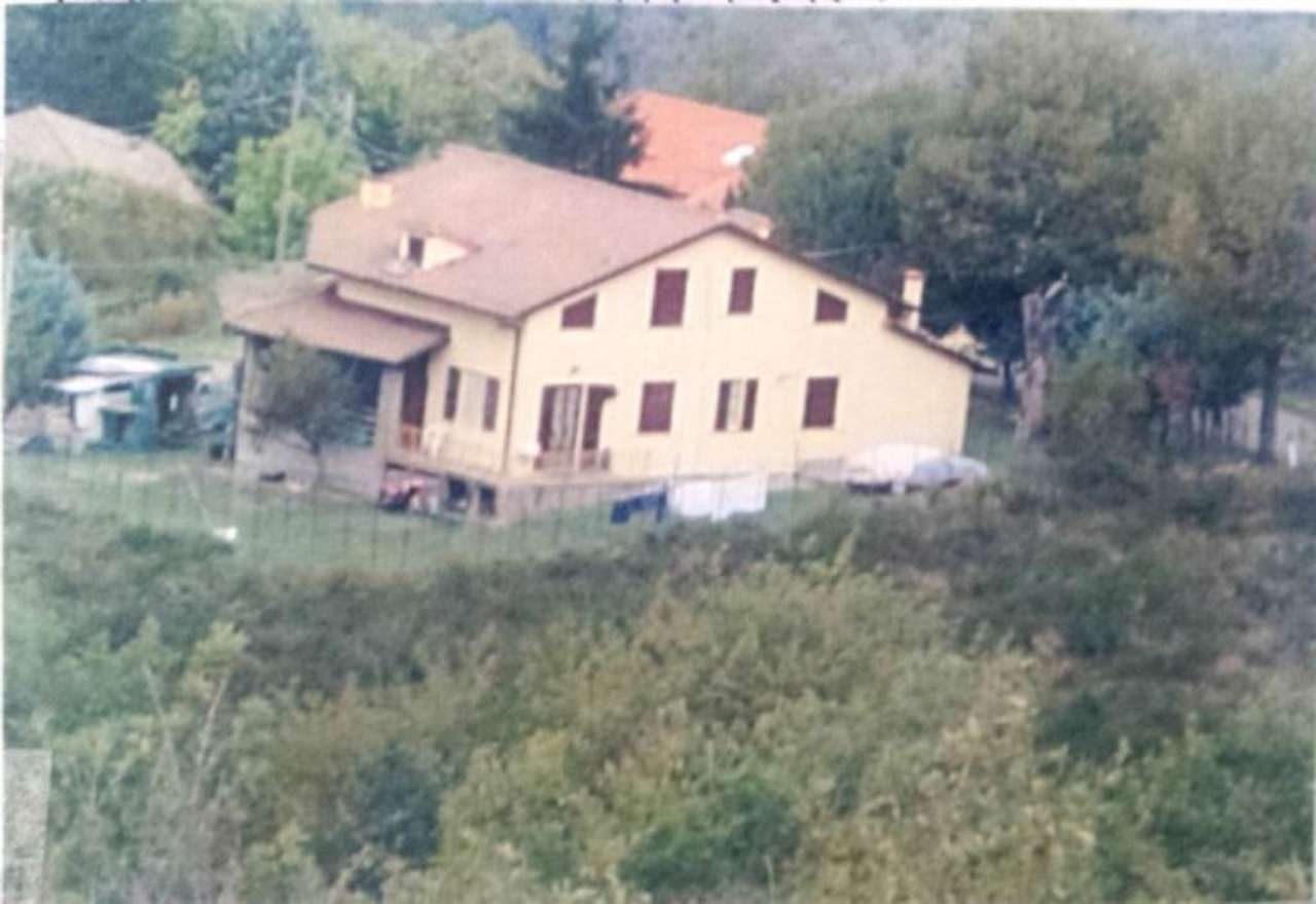 Villa Unifamiliare - Indipendente PRATOVECCHIO STIA vendita   Strada Provinciale 72, 55 - 52015 (Provincia di Arezzo) ALFANO & C S.a.s.