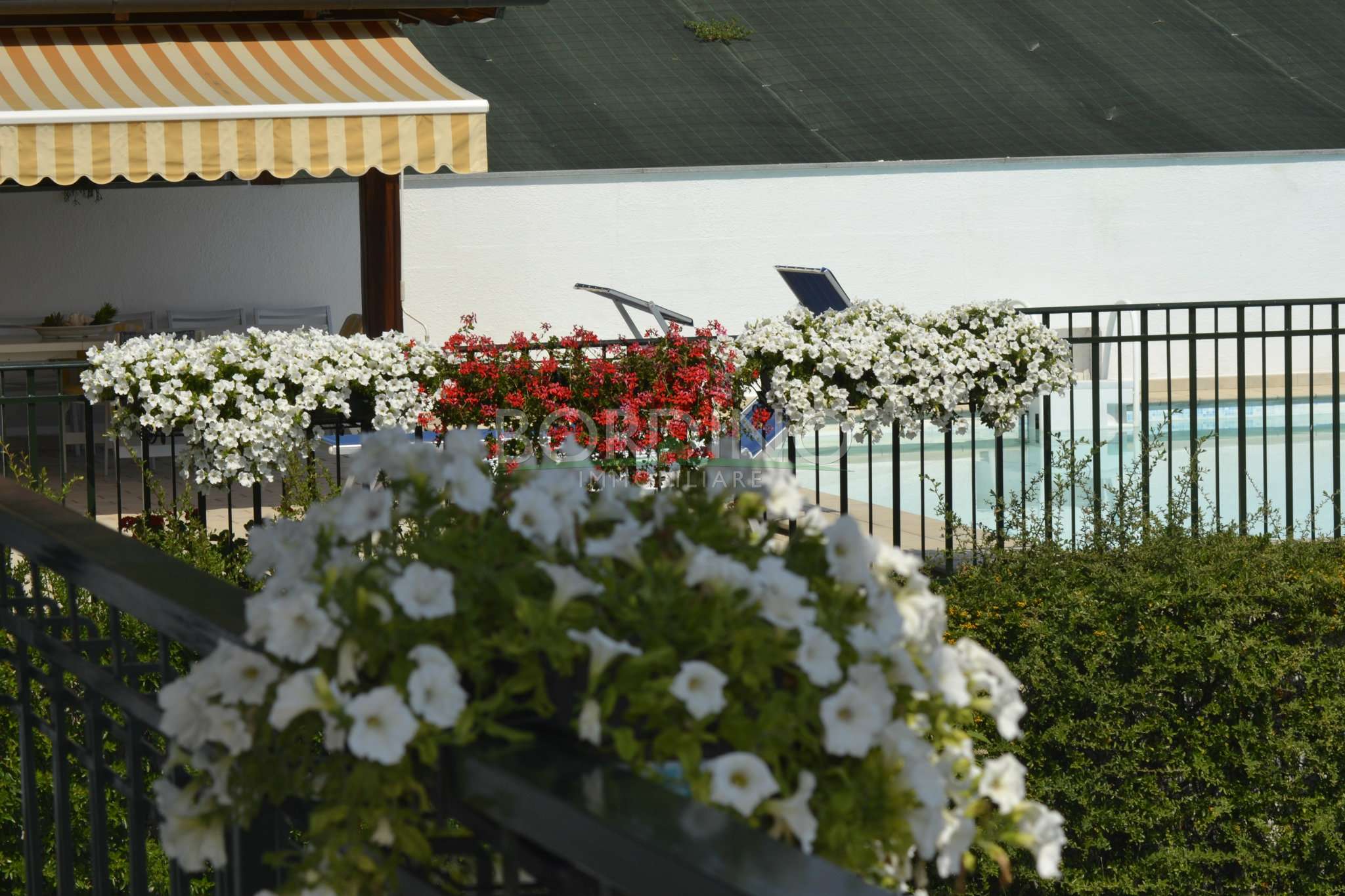 Appartamento SOMMARIVA PERNO vendita   Ceretta BORDINO IMMOBILIARE di Bordino Antonella