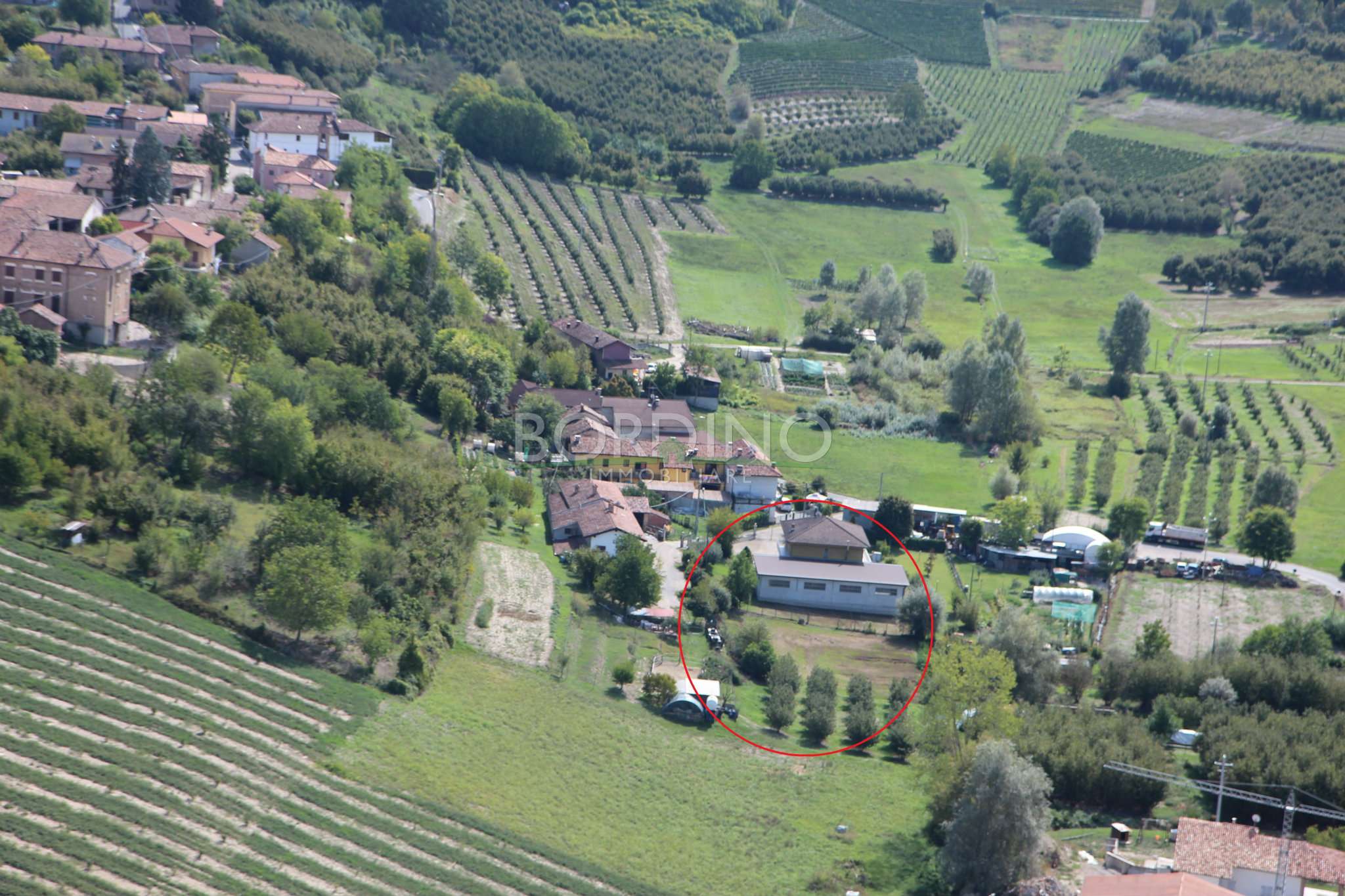 Villa Unifamiliare - Indipendente CASTAGNOLE DELLE LANZE vendita   Olmo BORDINO IMMOBILIARE di Bordino Antonella