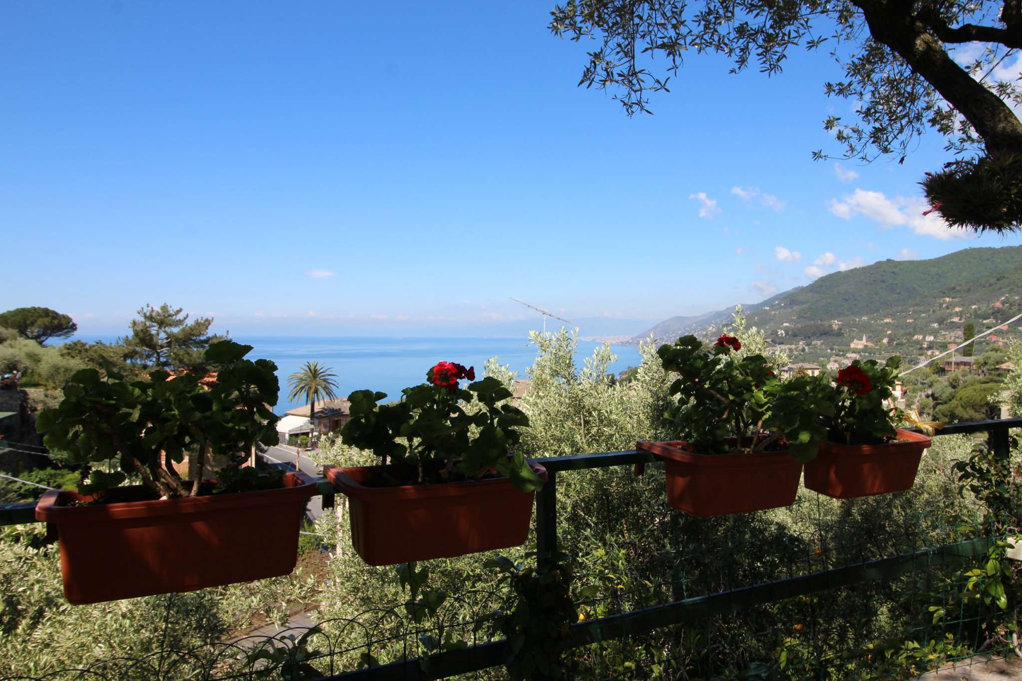 Villa CAMOGLI vendita   Aurelia Coccarello e Pittore Immobiliare