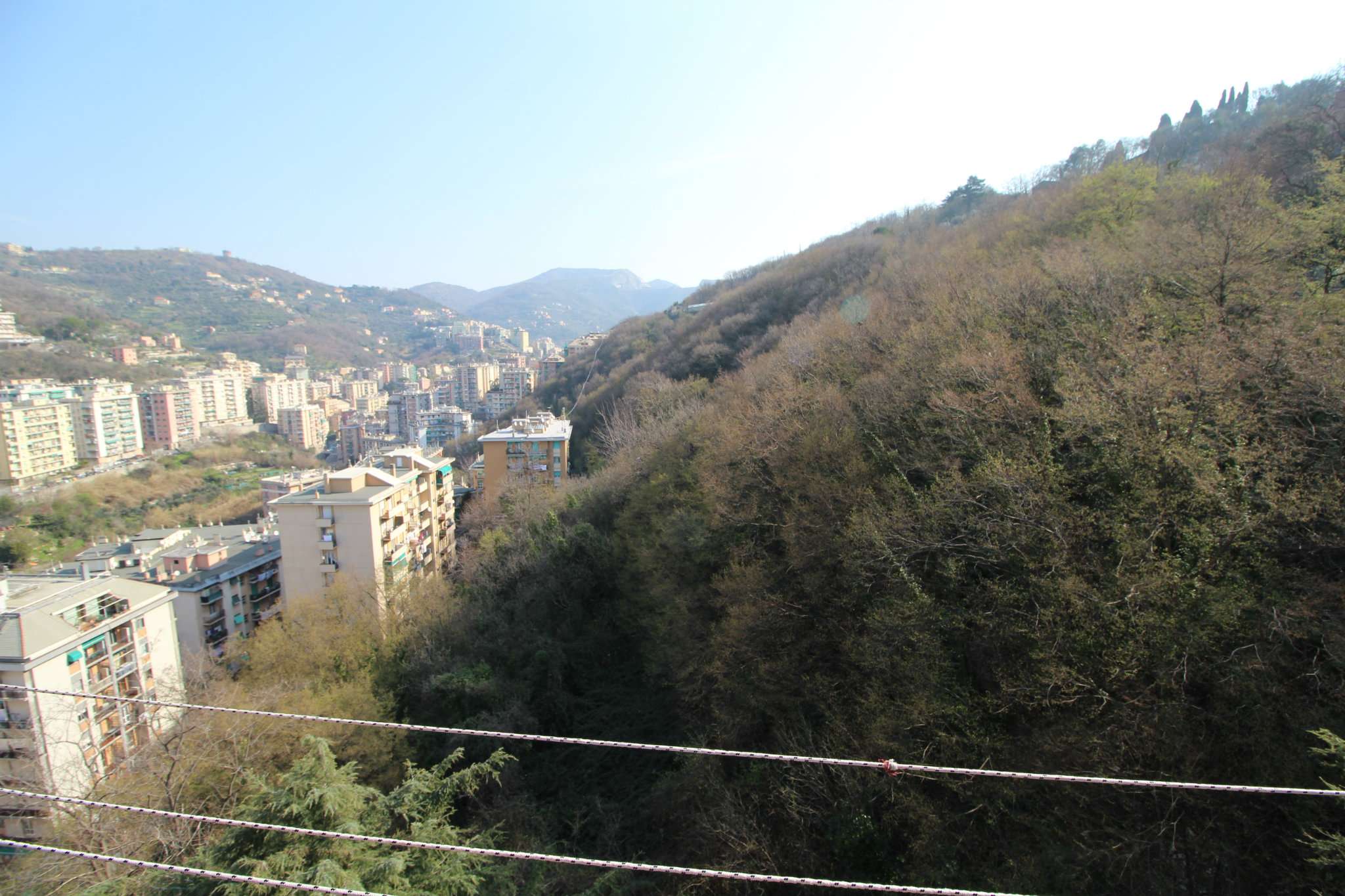 Appartamento GENOVA vendita  SAN FRUTTUOSO antolini Coccarello e Pittore Immobiliare