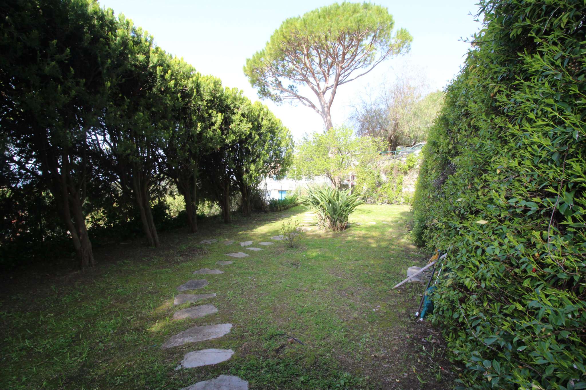 Villa Trifamiliare PIEVE LIGURE vendita   Viale Colle Fiorito Coccarello e Pittore Immobiliare