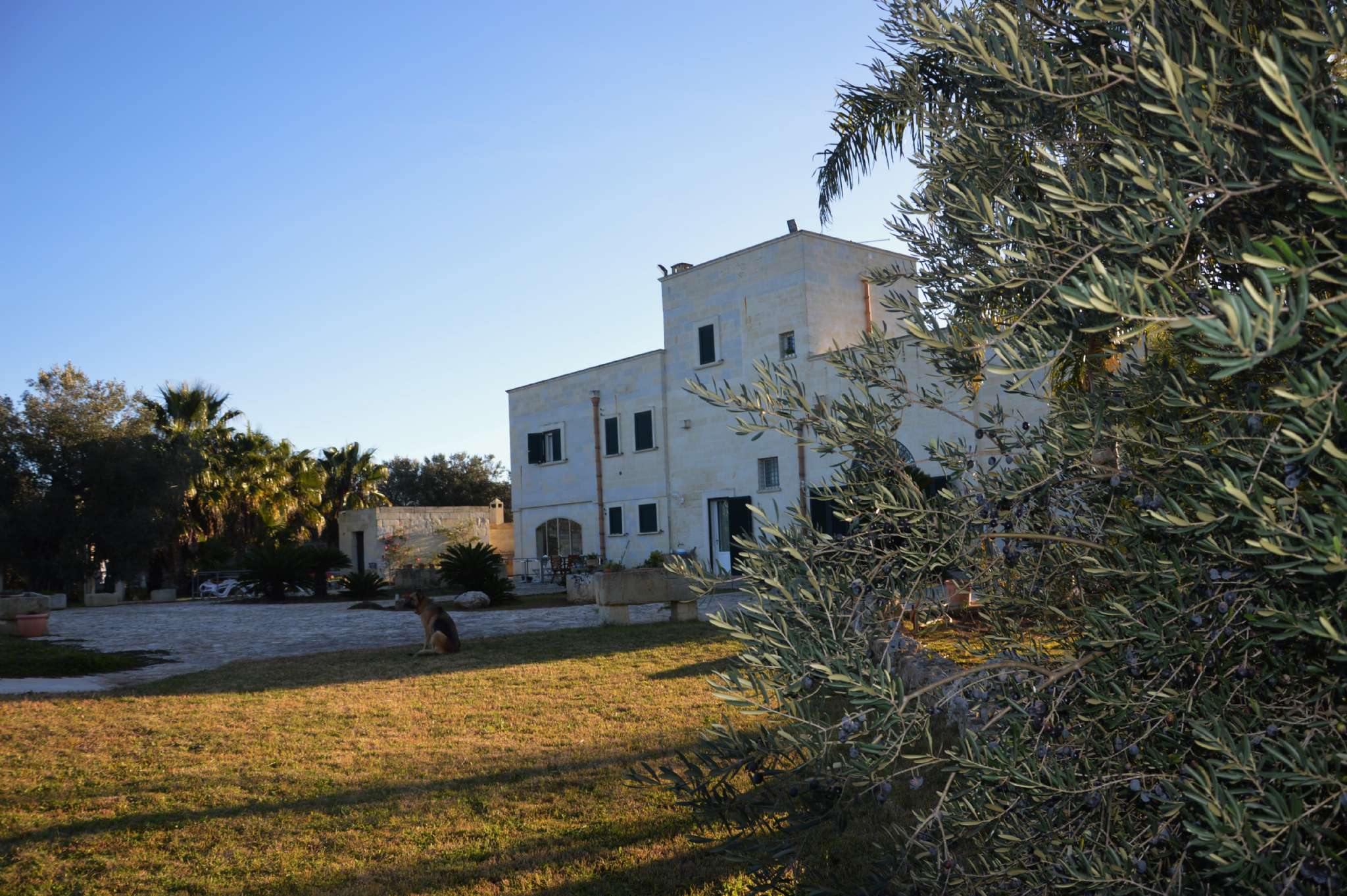 Villa SAN CESARIO DI LECCE vendita   Caorte Duomo Case